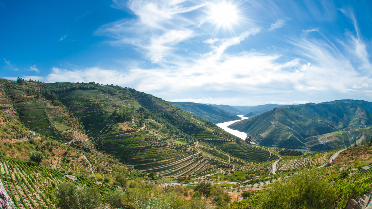 Douro River Valley (cruise only)